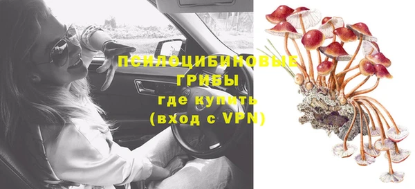 прущие крисы Михайловка