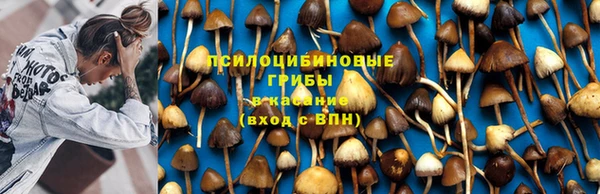 марихуана Абинск